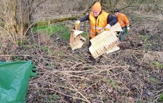 20240223_084429_1600x1200