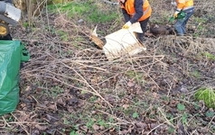 20240223_084420_1600x1200