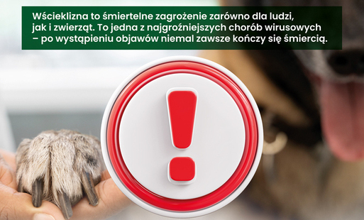 Zdjęcie do Wścieklizna - śmiertelne zagrożenie dla ludzi i zwierząt