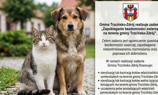 Zdjęcie do Zapobieganie bezdomności zwierząt na terenie gminy Trzcińsko-Zdr&oacute;j
