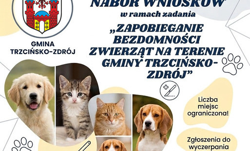 Zdjęcie do Bezpłatna sterylizacja, kastracja i szczepienia &mdash; ruszył nab&oacute;r wniosk&oacute;w w gminie Trzcińsko-Zdr&oacute;j