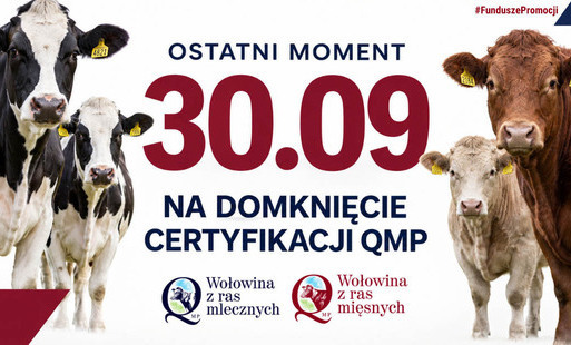 Zdjęcie do Certyfikat QMP &mdash; termin uzyskania upływa 30 września 2026 r.