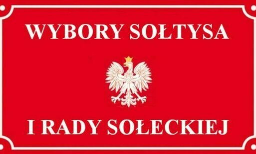 Zdjęcie do Wybory sołeckie w Gogolicach