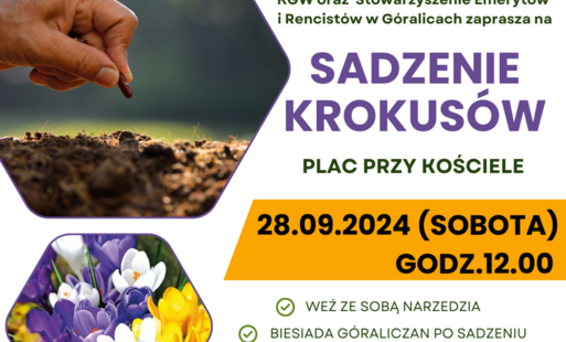 Zdjęcie do Zapraszamy na wsp&oacute;lne sadzenie krokus&oacute;w