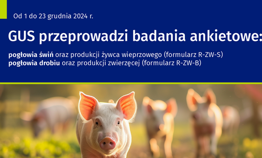 Zdjęcie do Badania ankietowe GUS