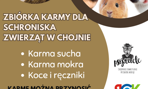 Zdjęcie do Zbi&oacute;rka karmy dla Psijaci&oacute;ł 