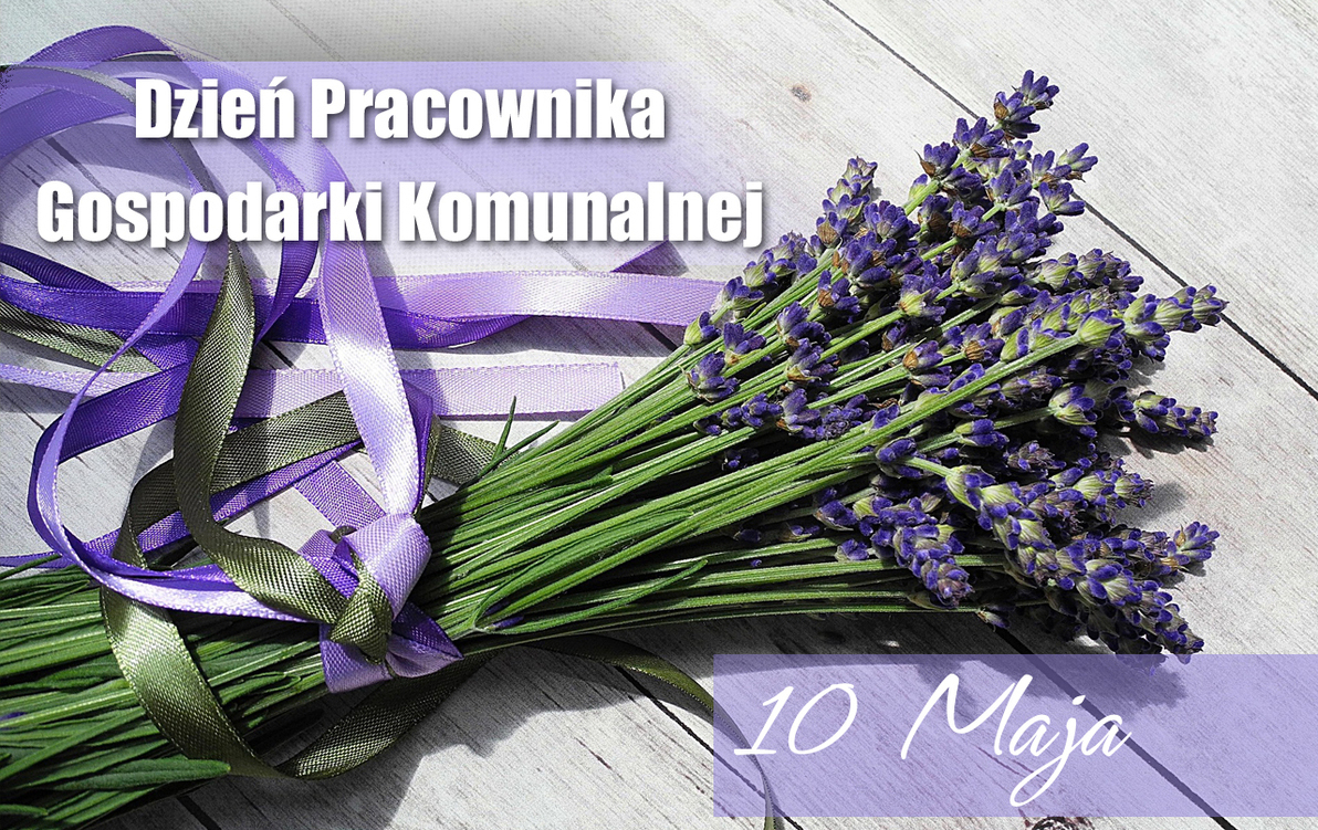 Zdjęcie artykułu z dnia 09-05-2025
