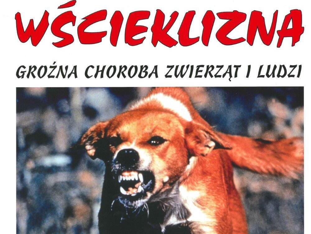 Zdjęcie artykułu z dnia 20-04-2026