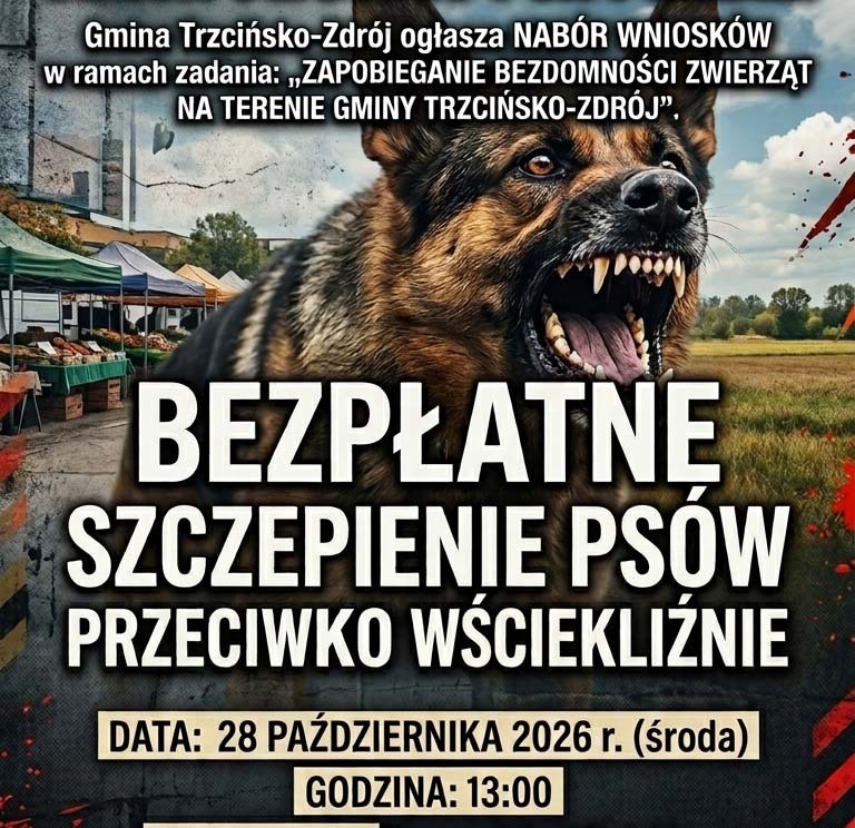 Zdjęcie artykułu z dnia 19-10-2026